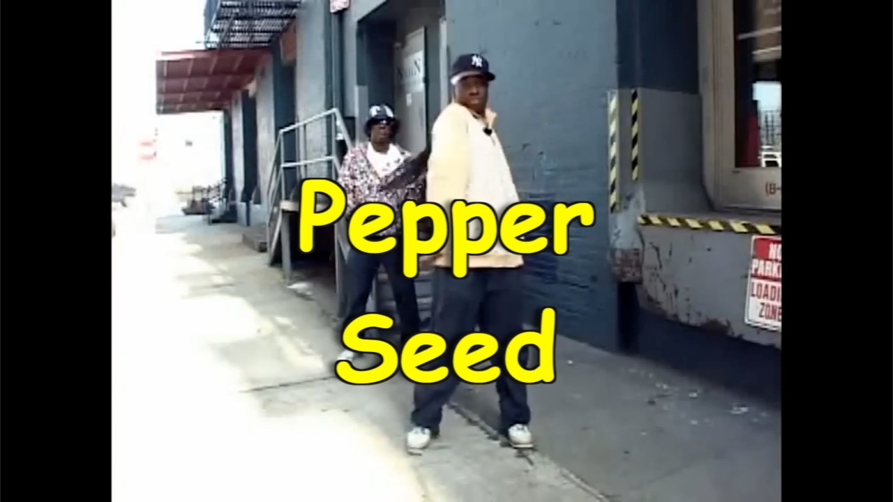 How to Do the Pepperseed Hip Hop Dance Move