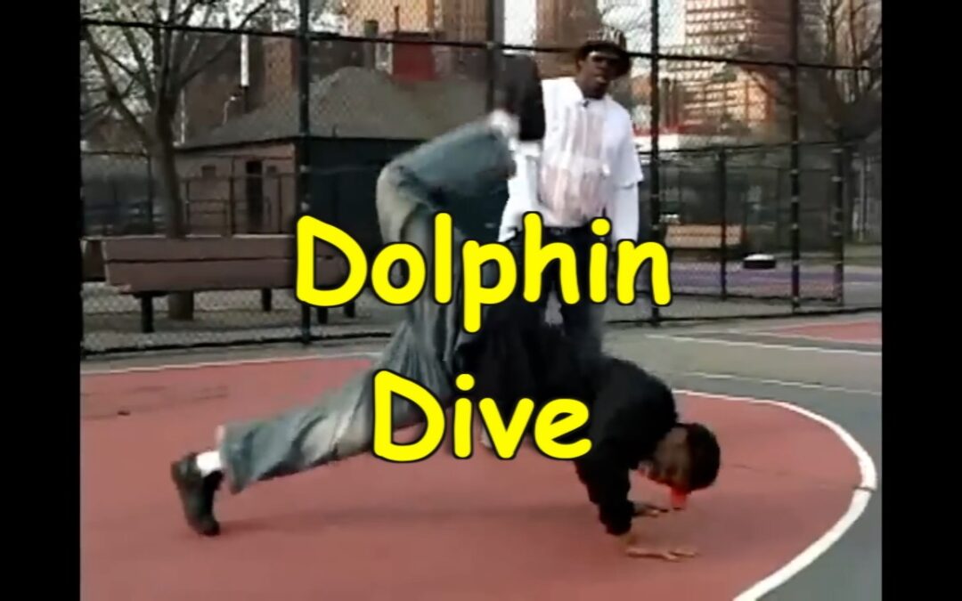dolphine dive